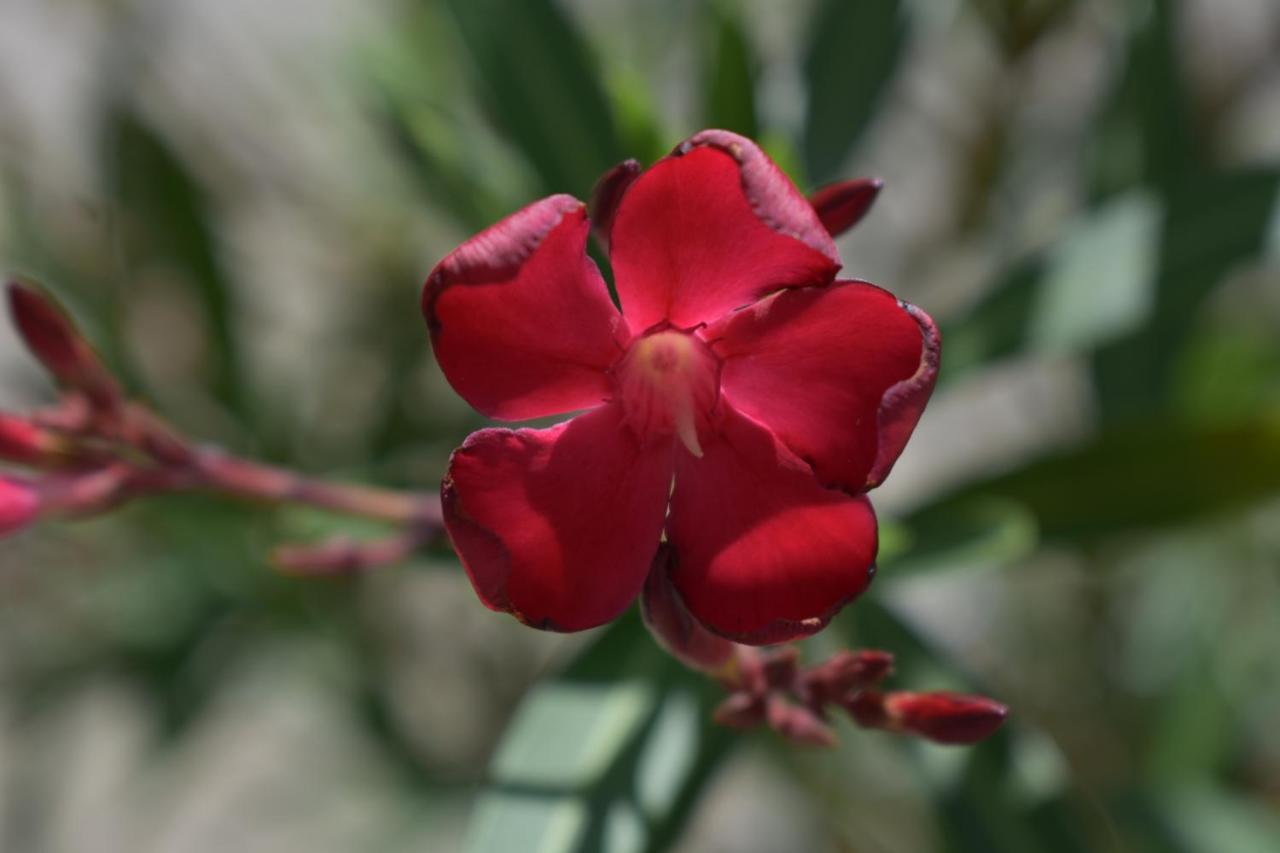 Palmengarten Finning Ngoại thất bức ảnh